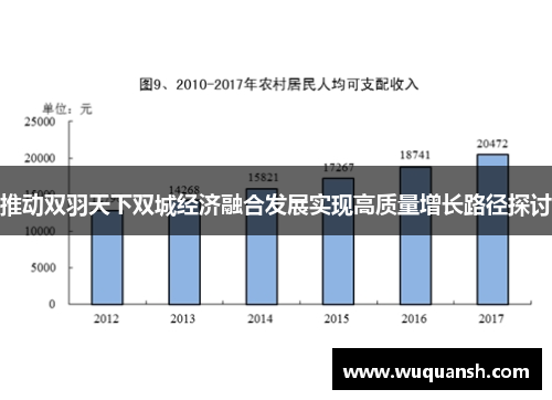 推动双羽天下双城经济融合发展实现高质量增长路径探讨