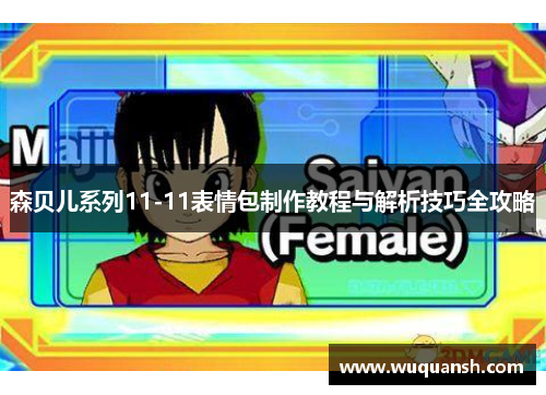 森贝儿系列11-11表情包制作教程与解析技巧全攻略